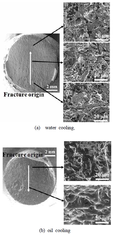 Fig. 8
