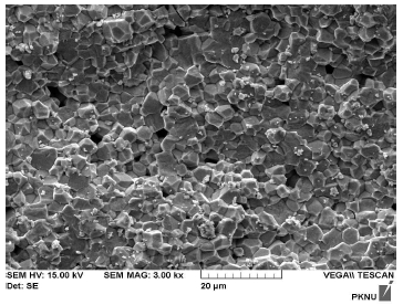 Fig. 9