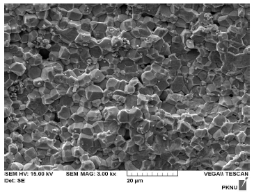 Fig. 10