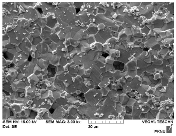Fig. 11