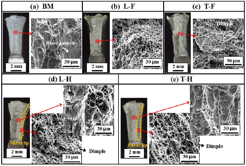 Fig. 11