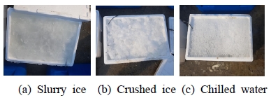 Fig. 13