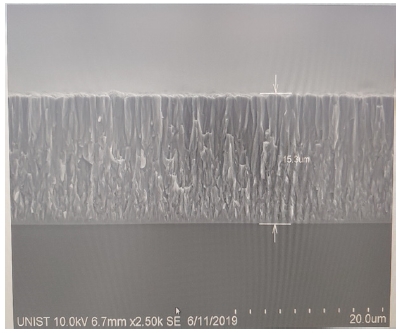 Fig. 8