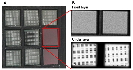 Fig. 15