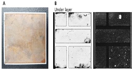 Fig. 16