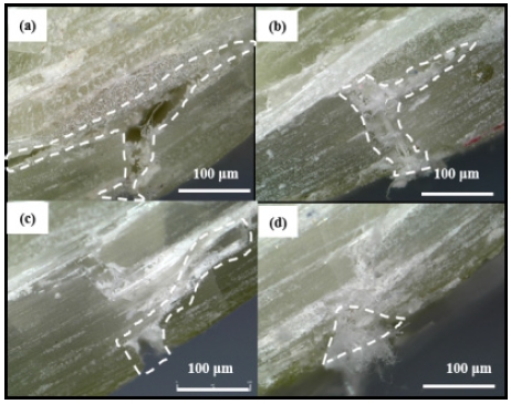 Fig. 13