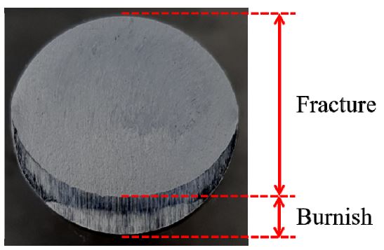Fig. 6