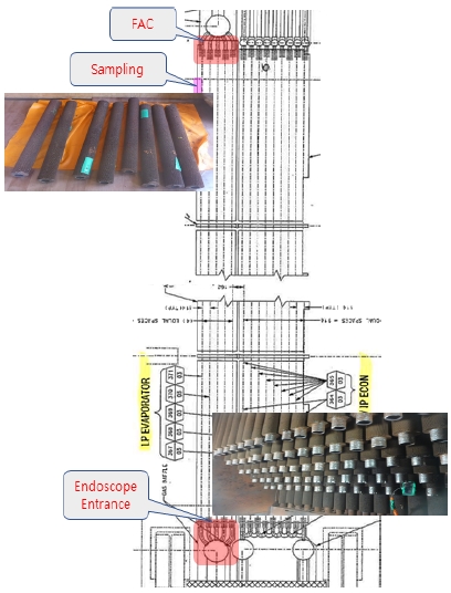 Fig. 11