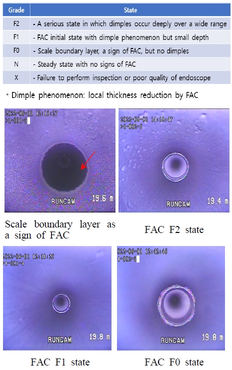 Fig. 12