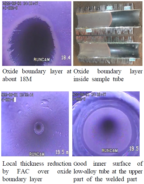 Fig. 13