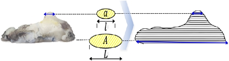 Fig. 3 Fig. 3
